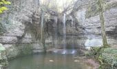 Trail Walking Optevoz - rando cascade de la roche - Photo 1