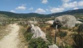 Excursión Senderismo Mont Lozère et Goulet - Bleymar _ Le Pont Montvert - Photo 11