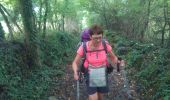 Tour Wandern Le Puy-en-Velay - puy en velay  _  Monastier sur gazeille - Photo 6