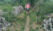 Tocht Stappen Le Puy-en-Velay - puy en velay  _  Monastier sur gazeille - Photo 2