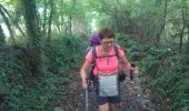 Trail Walking Le Puy-en-Velay - puy en velay  _  Monastier sur gazeille - Photo 6