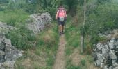 Trail Walking Le Puy-en-Velay - puy en velay  _  Monastier sur gazeille - Photo 2