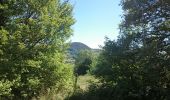 Randonnée Vélo Brives-Charensac - voie verte À-R Le Puy Costaros - Photo 20
