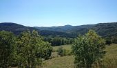 Randonnée Vélo Brives-Charensac - voie verte À-R Le Puy Costaros - Photo 18