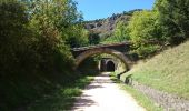 Percorso Bicicletta Brives-Charensac - voie verte À-R Le Puy Costaros - Photo 17