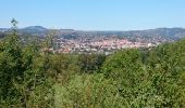 Tocht Fiets Brives-Charensac - voie verte À-R Le Puy Costaros - Photo 16