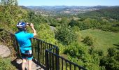 Randonnée Vélo Brives-Charensac - voie verte À-R Le Puy Costaros - Photo 15