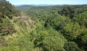 Randonnée Vélo Brives-Charensac - voie verte À-R Le Puy Costaros - Photo 11