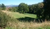 Randonnée Vélo Brives-Charensac - voie verte À-R Le Puy Costaros - Photo 9