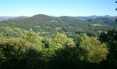 Randonnée Vélo Brives-Charensac - voie verte À-R Le Puy Costaros - Photo 1