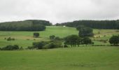 Tocht Stappen La Roche-en-Ardenne - La Roche-en-Ardenne boucle via Jupille - Photo 7