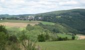 Excursión Senderismo La Roche-en-Ardenne - La Roche-en-Ardenne boucle via Jupille - Photo 10