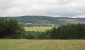 Tocht Stappen La Roche-en-Ardenne - La Roche-en-Ardenne boucle via Jupille - Photo 9