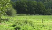 Trail Walking La Roche-en-Ardenne - La Roche-en-Ardenne boucle via Jupille - Photo 11