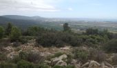 Tour Wandern Frontignan - Frontignan Gardiole et Garrigue - Photo 1