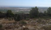 Trail Walking Frontignan - Frontignan Gardiole et Garrigue - Photo 11