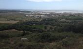 Tocht Stappen Frontignan - Frontignan Gardiole et Garrigue - Photo 8