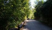 Trail Walking Villeneuve-Loubet - Parc departemental des Rives du Loup. - Photo 5