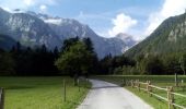 Randonnée Marche Solčava - Slovenië einde, pension ojstria - Photo 1