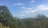 Trail Walking Tordères - 66 TORDÈRES - LLAURO, promenade en forêt méditerranéenne, cistes, genêts, bruyères. Arbousiers, chênes Lièges, chênes verts, pins - Photo 12