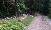 Trail Walking Valjouffrey - malentraz - Photo 4