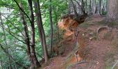 Excursión Bici de montaña Ronse - Louise-Marie - Renaix - Photo 8