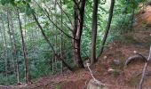 Tocht Mountainbike Ronse - Louise-Marie - Renaix - Photo 7