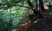 Excursión Bici de montaña Ronse - Louise-Marie - Renaix - Photo 5