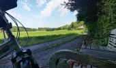 Tour Mountainbike Ronse - Louise-Marie - Renaix - Photo 2