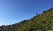 Tour Wandern Collioure - 66 COLLIOURE - les balcons de Madeloc - circuit de la tour et des fortifications  - Photo 18