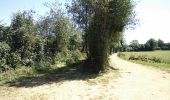 Trail Walking Paulinet - sentier  des chevreuils  - Photo 11