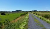 Trail Walking Cussac-sur-Loire - voie verte malpas  costaros - Photo 8