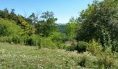 Trail Walking Cussac-sur-Loire - voie verte malpas  costaros - Photo 4