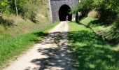Trail Walking Cussac-sur-Loire - voie verte malpas  costaros - Photo 3