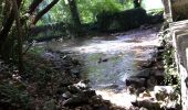 Tocht Stappen Échiré - Mélusine aux bords de la Sèvre - Echiré - Photo 4