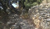 Trail Walking Arboussols - 66 VINCA - MARCEVOL - GR36 -  Sentier ancestral entre roches et murets  - Photo 19