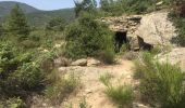 Trail Walking Arboussols - 66 VINCA - MARCEVOL - GR36 -  Sentier ancestral entre roches et murets  - Photo 5