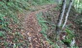 Tocht Andere activiteiten Saint-Vincent-de-Mercuze - s'y Vincent col du marcieu retour par la cascade - Photo 4