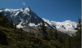 Tocht Stappen Chamonix-Mont-Blanc - Le lac bleus - Photo 3