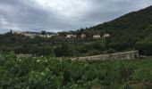 Randonnée Marche Trilla - 66 TRILLA - ANSIGNAN aqueduc romain - ballade en Fenouillédes  - Photo 14