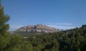 Trail Walking Marseille - Luminy vers Morgiou - Photo 3