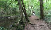Trail Walking Chantelle - les gorges de la Bouble  - Photo 1