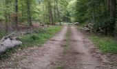 Trail Walking Lenningen - canach - Photo 1