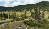 Tour Wandern Corrençon-en-Vercors - corrençon - la jasse du play - Photo 11