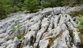 Tocht Stappen Corrençon-en-Vercors - corrençon - la jasse du play - Photo 9