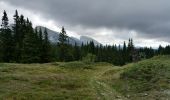 Tour Wandern Corrençon-en-Vercors - corrençon - la jasse du play - Photo 4