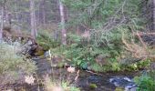 Tocht Stappen Jausiers - Tour des Sagnes - Photo 4