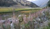 Tocht Stappen Jausiers - Tour des Sagnes - Photo 2