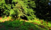 Trail Walking Longpont - en forêt de Retz_39_Longpont_Villers-Cotterets_AR - Photo 9
