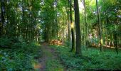 Tocht Stappen Longpont - en forêt de Retz_39_Longpont_Villers-Cotterets_AR - Photo 14